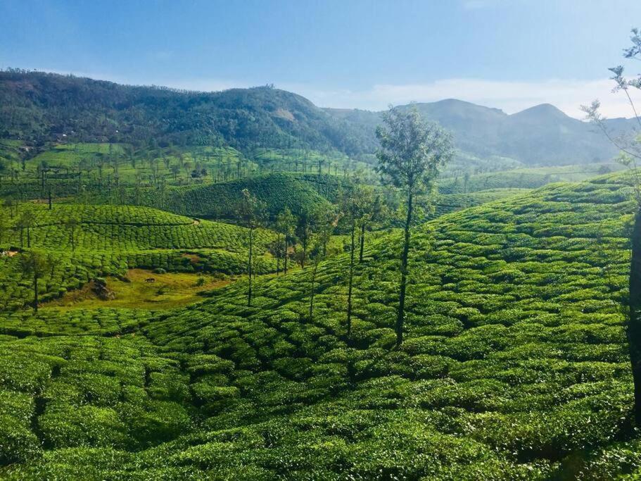 Villa Breezy Point Vagamon Exterior foto